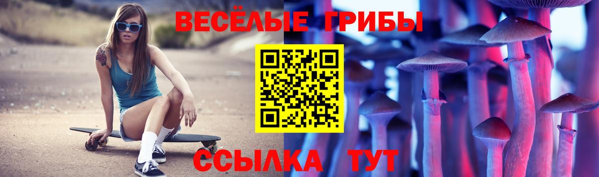 Псилоцибиновые грибы Cubensis  Вход с VPN  Урус-Мартан 